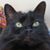 Val Smith's profile image