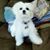 Charlotte Einarson Taylor's profile image
