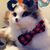 Kimmy Kay Wieland's profile image
