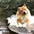 Trudy Richardson Nelson's profile image