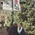 Melinda Norris Mdluli's profile image