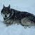 Robert Kezer's profile image