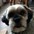 Ann Bjorklund's profile image