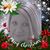 Tina Cervantes's profile image
