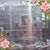 Sharon Butitta's profile image