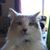 Holly Farren's profile image