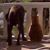 Scott William Hassan's profile image