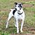 LeeAnn King Bailey's profile image