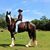 Nancy Carville's profile image