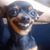 Juan L Gomez Jr.'s profile image