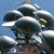 Beckman Tower's profile image