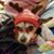 Nancy Zrepskey Kohler's profile image