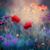Stephanie Donofrio's profile image