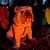 Dan Burgwardt's profile image