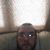 Chuck Beck's profile image