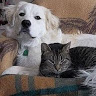 Patti J.'s profile image