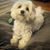 Mayra Almanza Varela's profile image