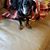 John N Jeanie Myers's profile image