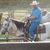 Marshall Stephens's profile image