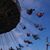 Paula Tully Quiñones's profile image