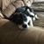 Katie Gowan-Falk's profile image