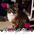 Kathy Vannauker's profile image