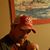 Patrick A Kent's profile image