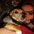 Susan Finlayson's profile image