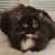 Beverly Baker's profile image