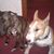 Cheryl Eisenbart Bradley's profile image
