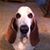 Susie Johnson's profile image