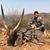 Joseph Chapdelaine's profile image
