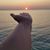 Luciane Rocha's profile image