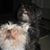 Alta Cutler Waddy's profile image