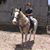 Coleton Shelley's profile image