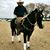 Lupito Garcia's profile image