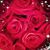 Crystal Edwards's profile image