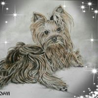 Adele Caluori's profile image