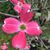 JimandSuzanne Crawford's profile image