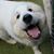 Donna Odze Rivera's profile image