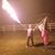 John W Vickerman's profile image