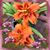 Wanda Caddy Raney's profile image