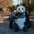 Wendy Bradeen's profile image