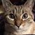 Melinda McKenry's profile image