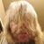 Matthew Cheers's profile image