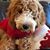 Janice Joerger's profile image