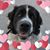 Karen Beitz's profile image