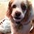 Barbara Klesel's profile image