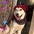 Mary Grace Moore's profile image