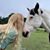 Kristina Speck's profile image